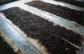 rera00110.jpg