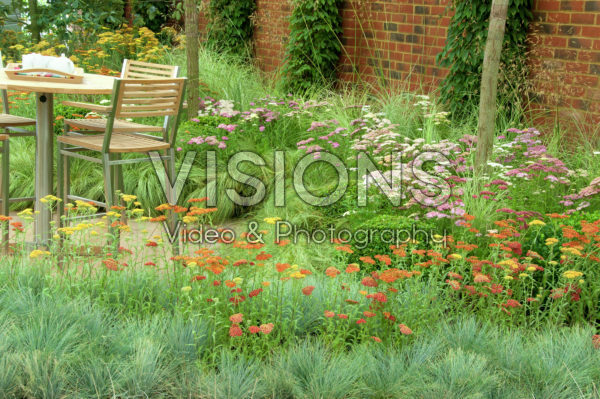 Summer garden Summer garden