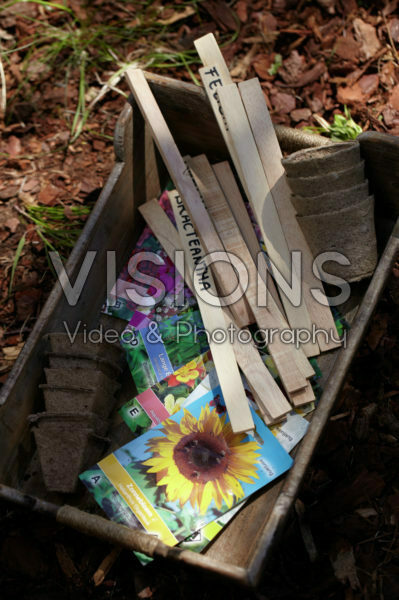 Square foot gardening Square foot gardening