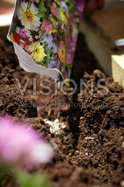 Square foot gardening Square foot gardening