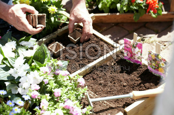 Square foot gardening Square foot gardening