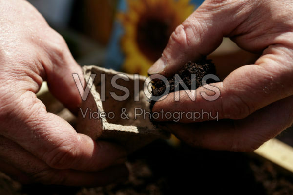 Filling jiffy pot with soil Filling jiffy pot with soil