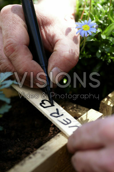 Square foot gardening Square foot gardening
