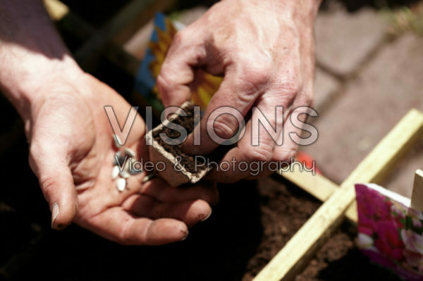 Square foot gardening Square foot gardening