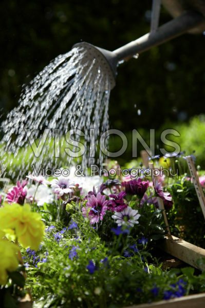 Square foot gardening Square foot gardening
