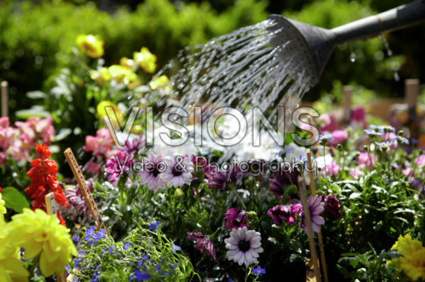 Square foot gardening Square foot gardening