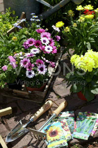 Square foot gardening Square foot gardening