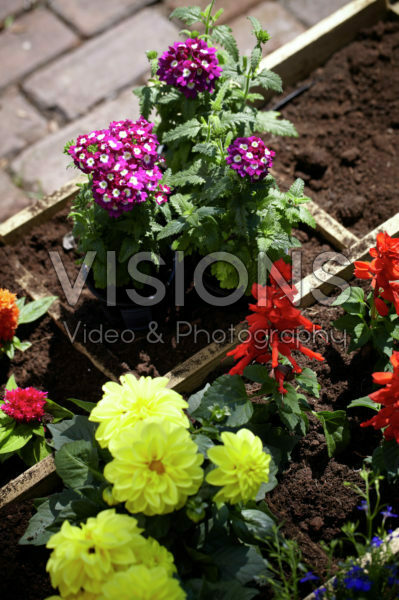 Square foot gardening Square foot gardening
