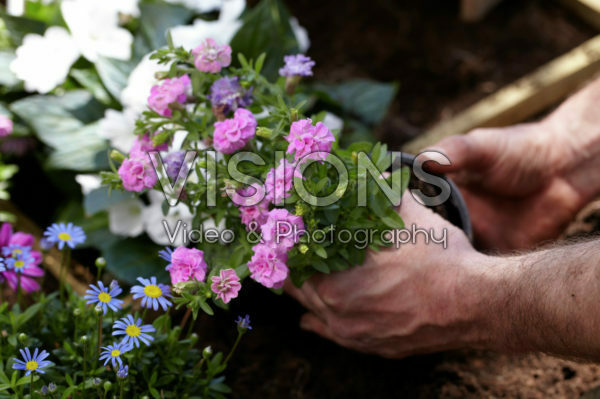 Square foot gardening Square foot gardening
