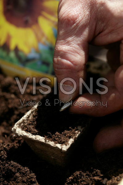 Square foot gardening Square foot gardening