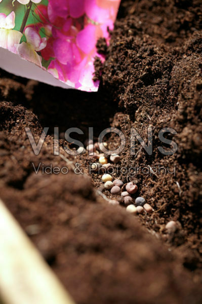 Square foot gardening Square foot gardening