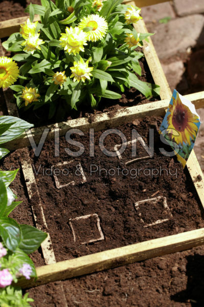 Square foot gardening Square foot gardening
