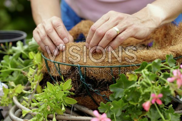 Making hanging basket Making hanging basket