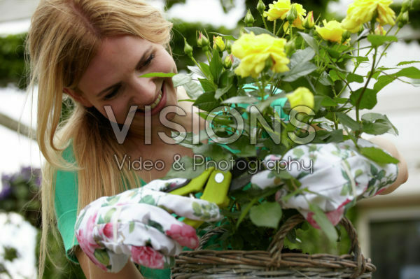 Woman cutting rose Woman cutting rose