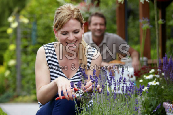Woman cutting lavender Woman cutting lavender