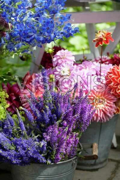 Summer flowers Summer flowers