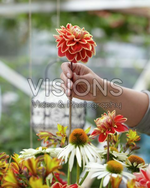 Making summer bouquet Making summer bouquet