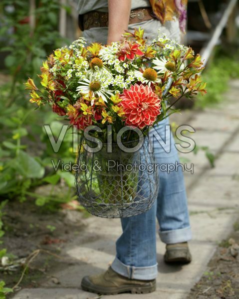 Making summer bouquet Making summer bouquet