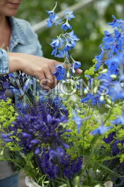 Making summer bouquet Making summer bouquet