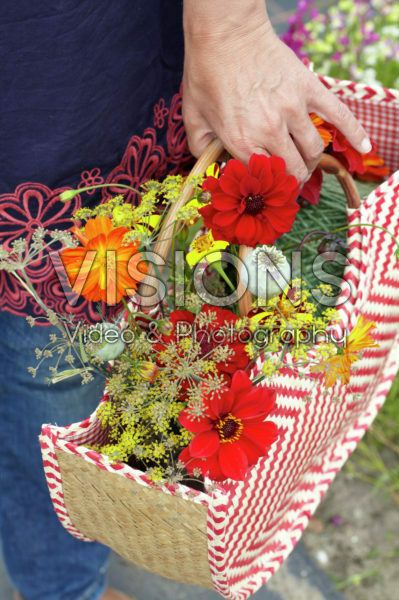 Picking summer flowers Picking summer flowers