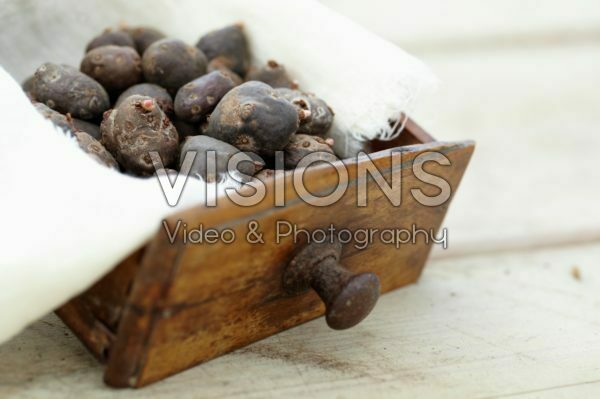 Geranium tuberosum bulbs Geranium tuberosum bulbs