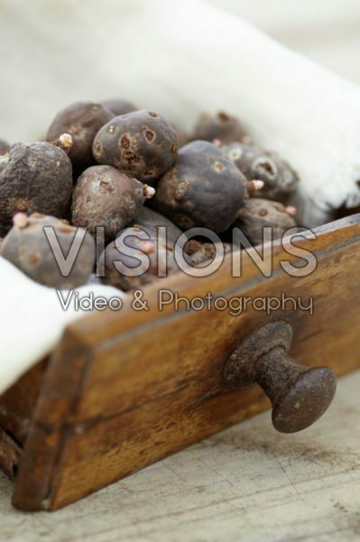 Geranium tuberosum bulbs Geranium tuberosum bulbs