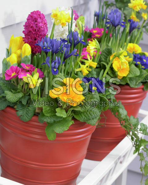 Spring containers Spring containers