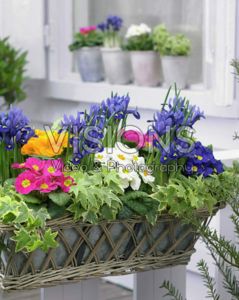 Spring container Spring container