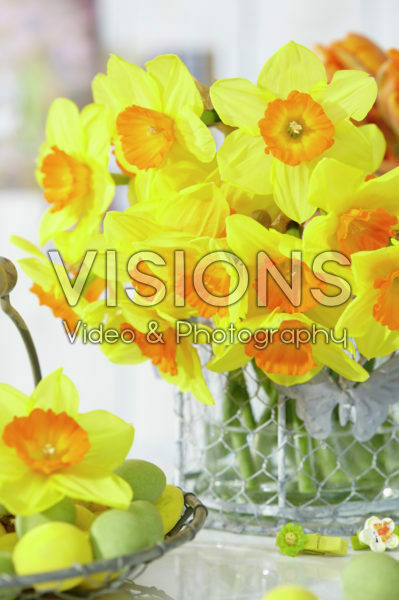 Daffodils in vase Daffodils in vase