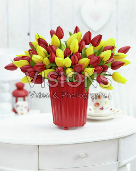 Tulip bouquet Tulip bouquet