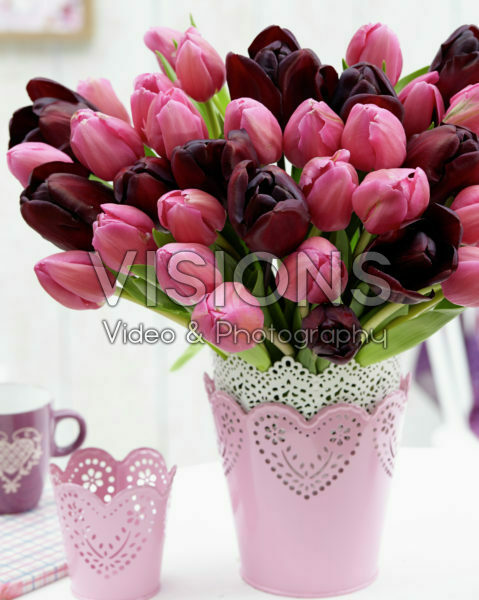 Tulip bouquet Tulip bouquet