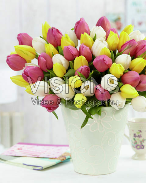 Tulip bouquet Tulip bouquet