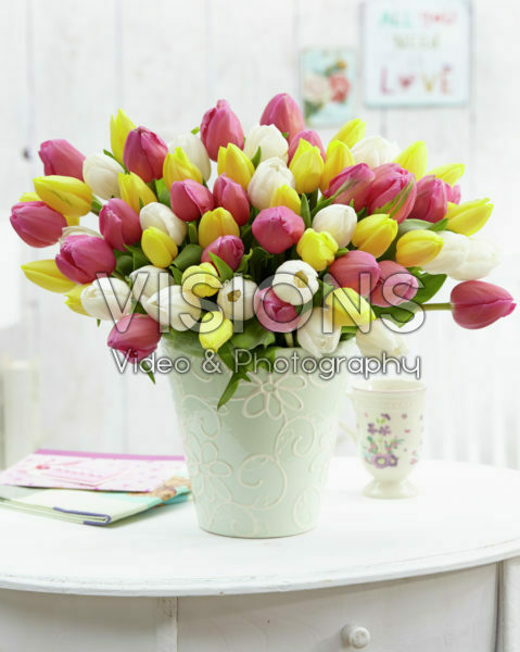 Tulip bouquet Tulip bouquet