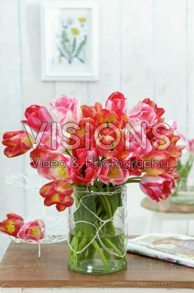 Mixed tulips Mixed tulips