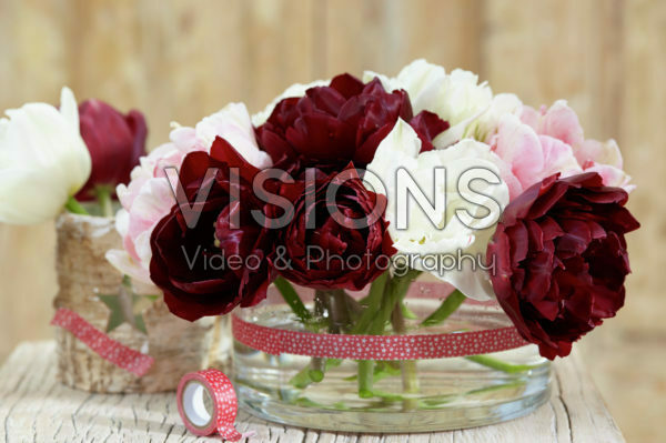 Mixed tulips Mixed tulips