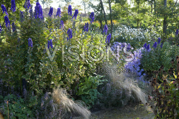 Autumn border Autumn border
