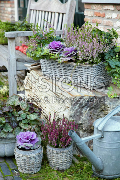 Autumn container Autumn container