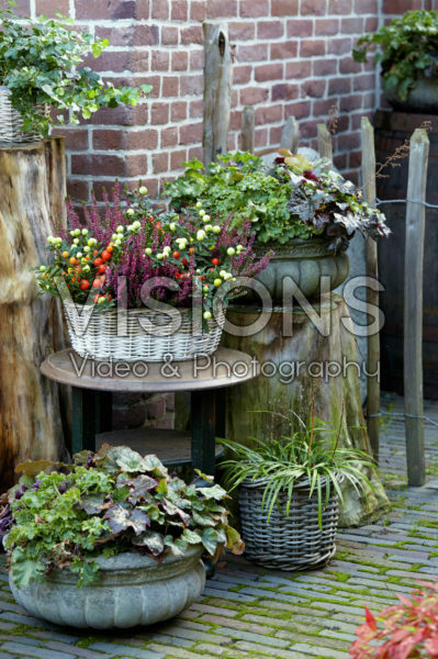 Autumn containers Autumn containers