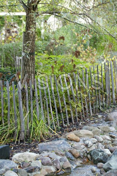 Autumn garden Autumn garden