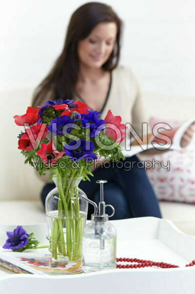 Anemones Anemones