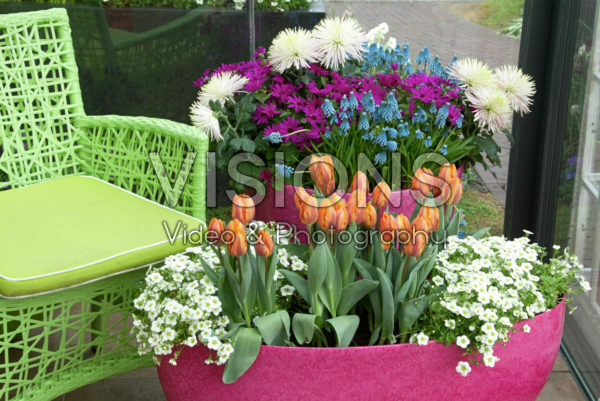 Spring garden Spring garden