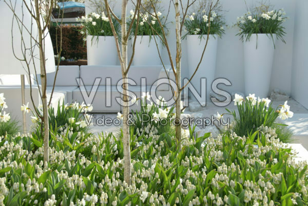 Spring garden Spring garden