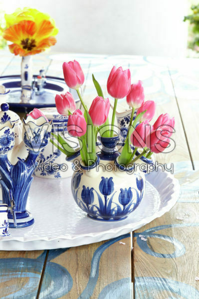 Tulipa on vase Tulipa on vase