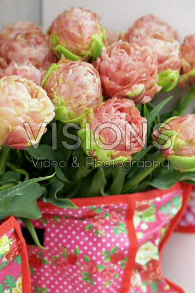 Tulipa bouquet Tulipa bouquet