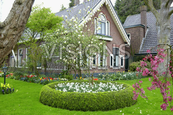 Spring garden Spring garden