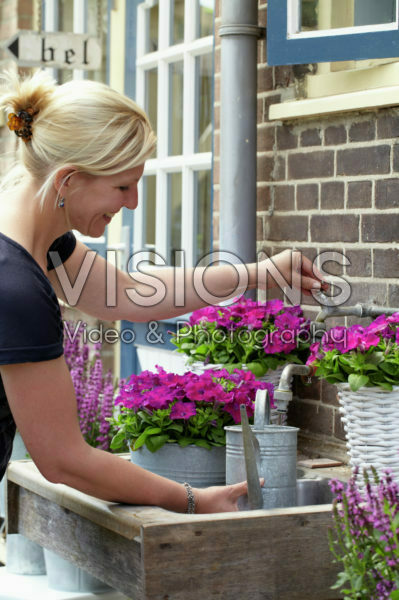 Woman watering petunia Woman watering petunia