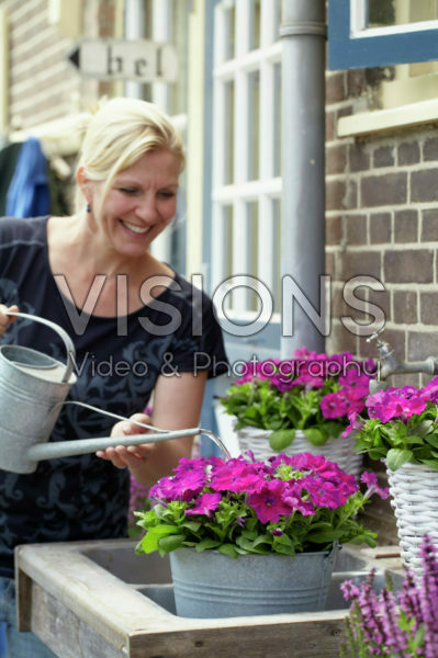 Woman watering petunia Woman watering petunia
