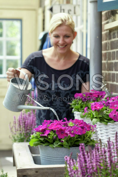 Woman watering petunia Woman watering petunia