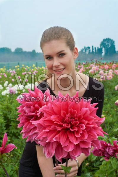 Dahlia Emory Paul Dahlia Emory Paul