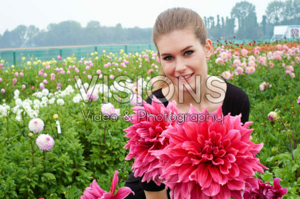 Dahlia Emory Paul Dahlia Emory Paul